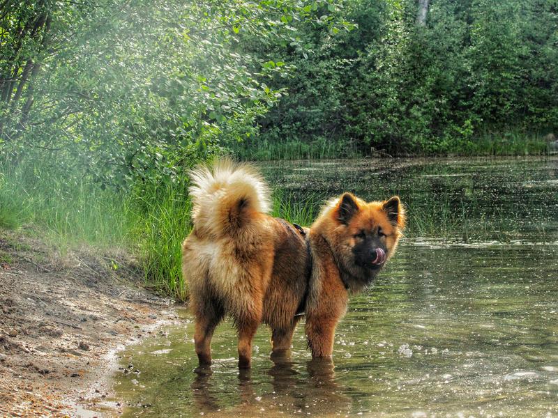 Siirry kuvagalleriaan